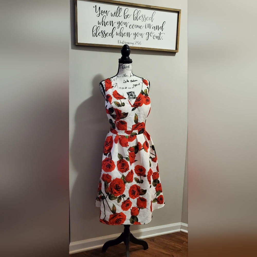 ModCloth Unique Vintage Chi Chi London High Tea Red Rose Formal Dress Size 20 - Picture 3 of 16
